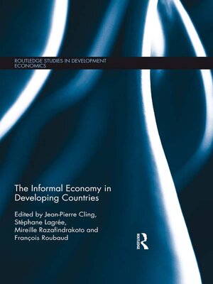 cover image of The Informal Economy in Developing Countries